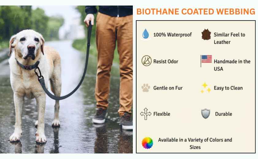 Essential Biothane Dog Leash (Orange / 4 Feet x 3/4 In)
