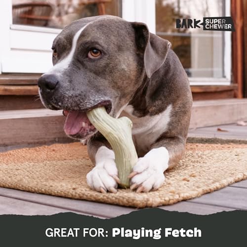 Big Game Antler Super Chewer (Medium/Large / Big Game Antler)