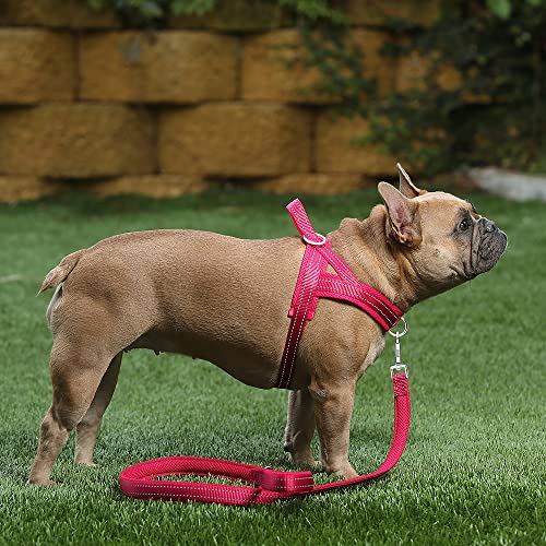 No Pull Dog Harness for Medium Sized Dog (M: chest 19.7"-25.2" / Pink)