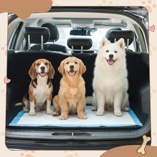 50" x 30" Silicone Pee Pad Holder Tray Extra Large Puppy Pee Pad Holder