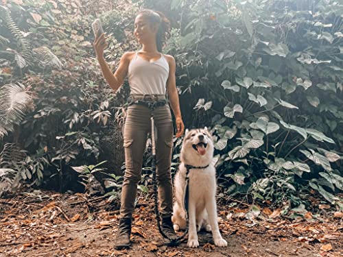 Hands Free Bungee Dog Leash