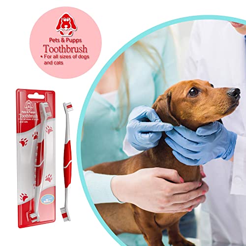 Pet Toothbrush for Dogs (Pack of 1 (Red))