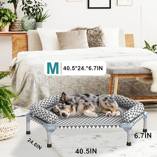 Orthopedic Dog Bed for Medium Dogs (6 sided Bolster Medium)
