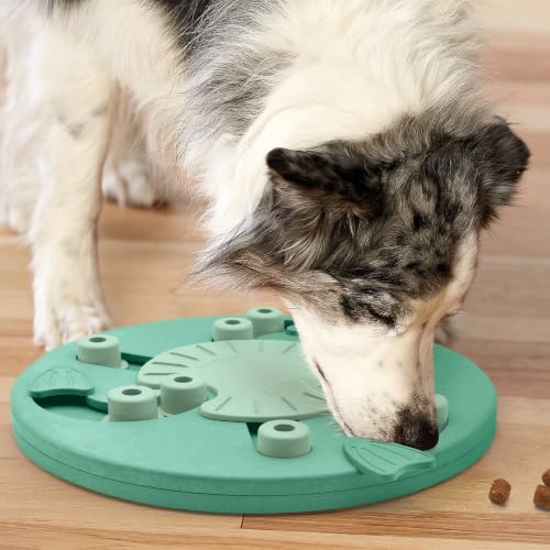 Nina Ottosson Dog Worker Dog Toy Treat Puzzle (Dog Worker (Green) / 1 Count (Pack of 1))