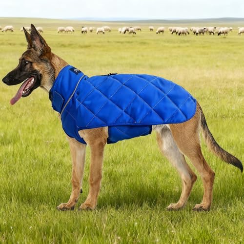 Weighted Dog Vest (Blue / Small)