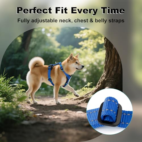 No Pull Dog Harness with Leather Accents (S / Royal Blue)