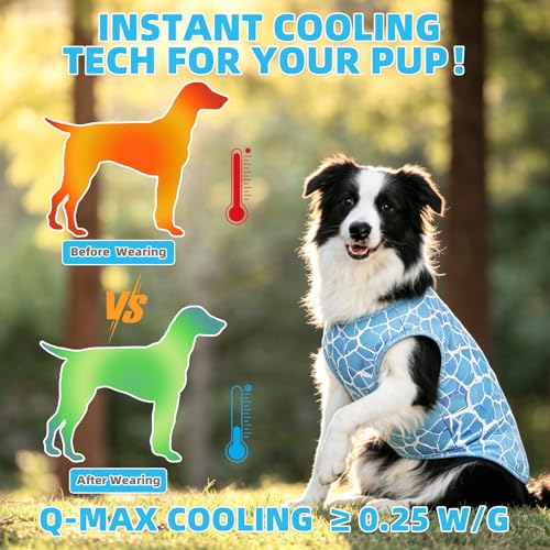 Cooling Sunblock Dog Clothes for Large Dogs (Ice Cube & Coconut / X-Large(Chest 26", Back 19"))