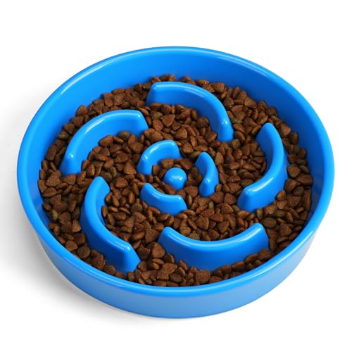 Ceramic Slow Feeder Dog Bowl (Flower - Blue / 2 Cups)