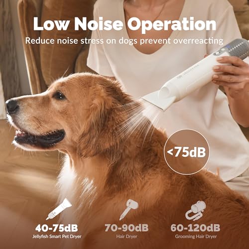 Handheld Dog Dryer