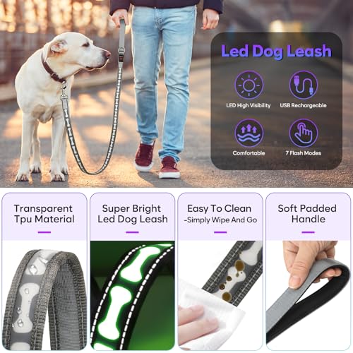 Light Up Dog Leash (Grey)