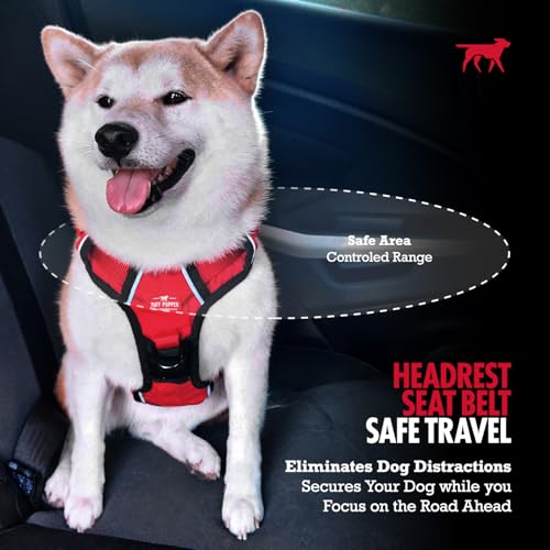 Dog Seat Belt for Car Headrest (Red)