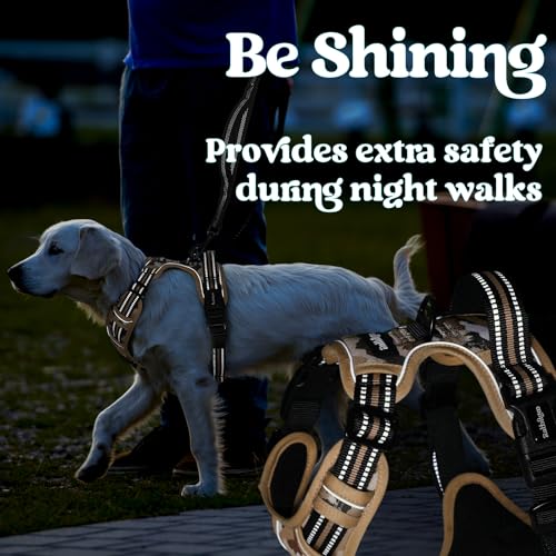 Dog Harness Small Sized (Small / Desert Ridge)