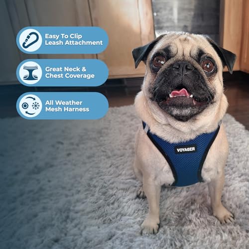 Voyager Step in Air All Weather Mesh Harness and Reflective Dog 5ft Leash Combo with Neoprene Handle (Blue/Black Trim / XS (Chest: 13 - 14.5"))
