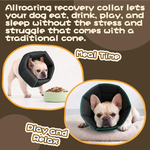 Adjustable Dog Cone for Spay (Green / XL(Neck Girth:16.54"-21.65"))