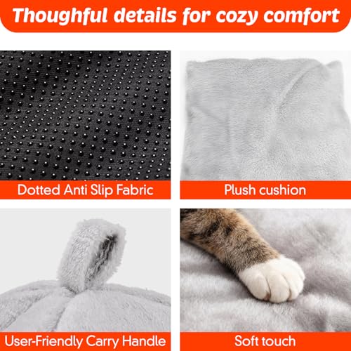 Cat Beds for Indoor Cats