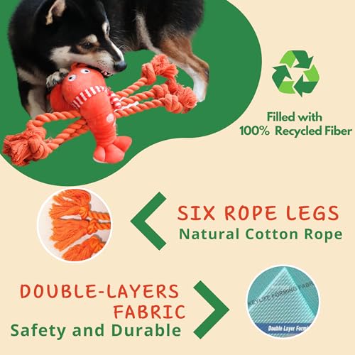 Squeaky Dog Toys (Scarf Lobster)