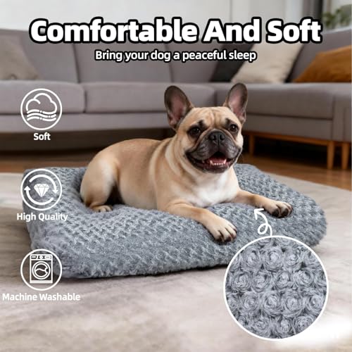 Dog Bed Medium Size (Dark Grey / 23"L x 18"W x 3"Th)