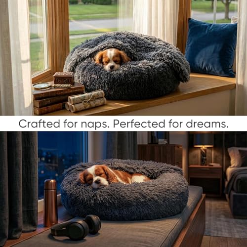 Dog Beds for Small Dogs (20.0"L x 20.0"W x 7.0"Th / Grey)