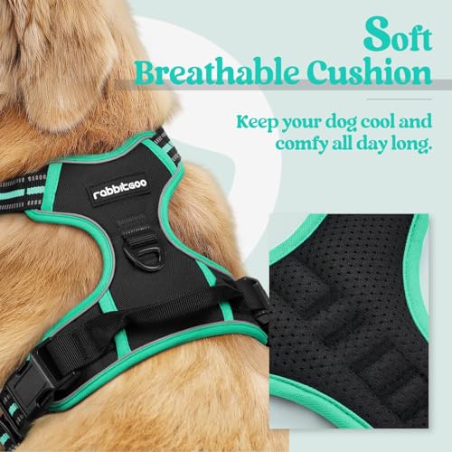 Dog Harness No Pull for Large Dogs with 2 Leash Clips (Large / Black & Turquoise)