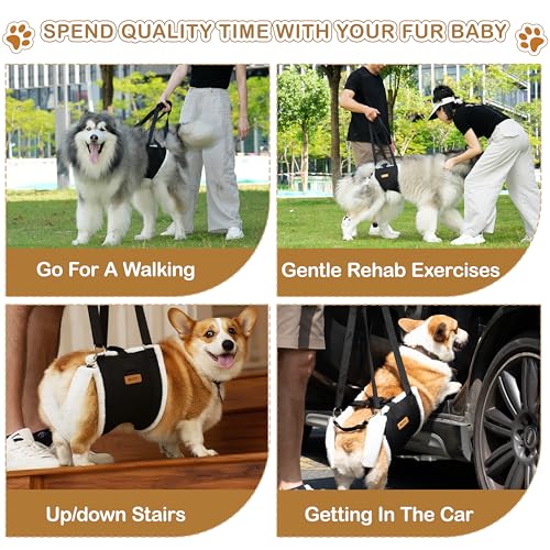 Dog Lift Harness Sling for Medium Dogs (M)