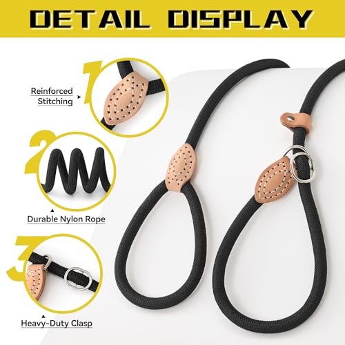 Heavy Duty Slip Lead No Pull Leash 6 (Black / 6 Feet)