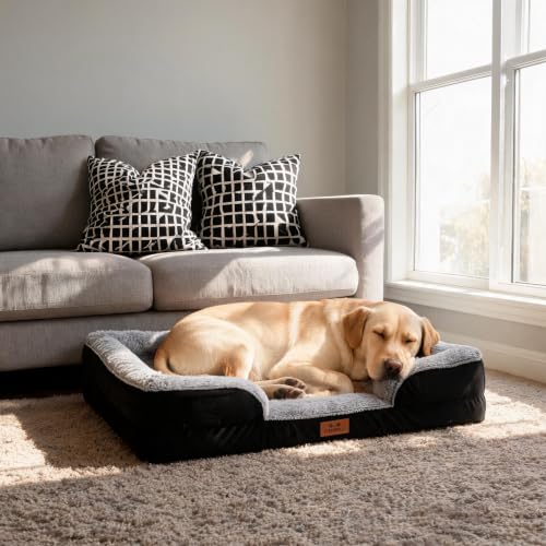 Orthopedic Extra Large Dog Bed (Black / 44.0" L x 31.5" W x 7.5" Th)