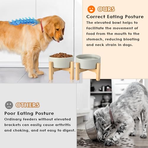Ceramic Elevated Dog Bowls 2 Pack (Large - 7.6 CUPS*2 / Grey)