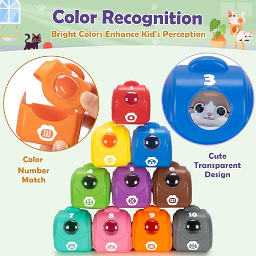 Learning Toys for 1 2 3 Year Old Boys Girls (KITTEN)