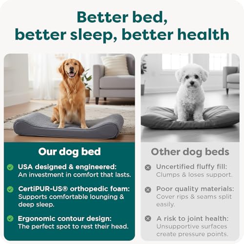 Orthopedic Dog Bed for Large Dogs (Jumbo/XL / Gray)