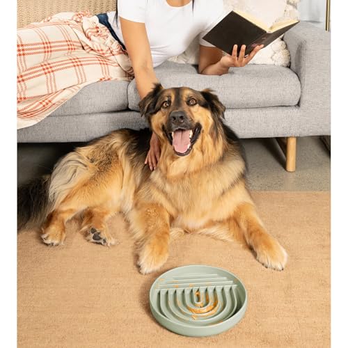 Slow Feeder Dog Bowl (Sage - Rainbow Design / Large (9.5” Across and 1.5” Tall))