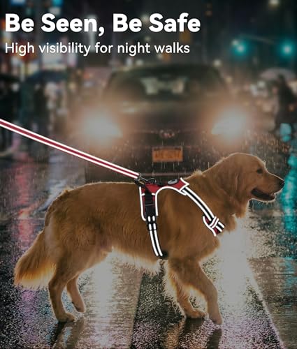 No Pull Dog Harness Medium Sized Dog (Medium / Red)
