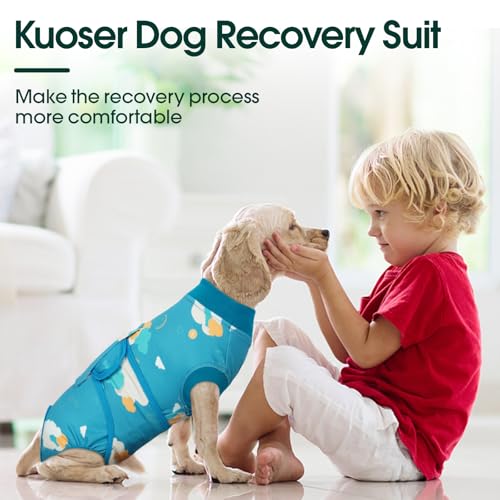 Dog Recovery Suit (Cloud Blue / X-Small)