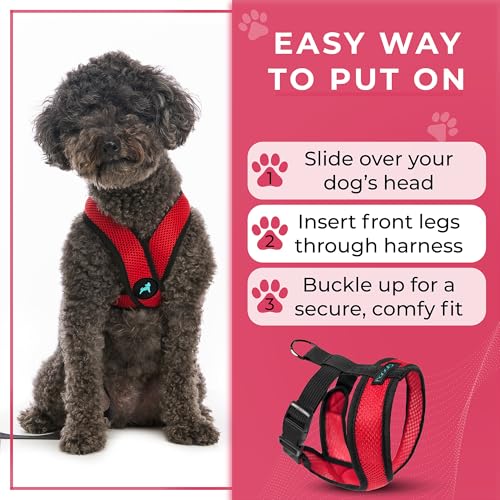 Comfort X Head (Medium Chest (14.25-18.75") / Red)