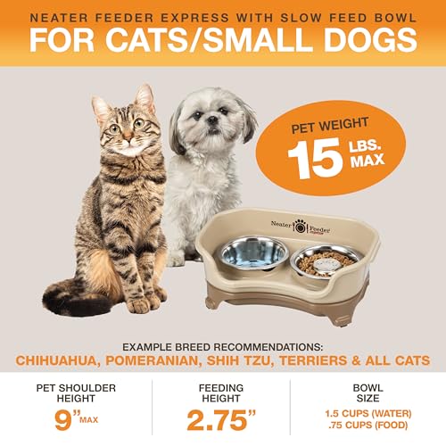 Express Mess Proof Dog Bowls Elevated for Small Breeds Under 15 Lb (Small w/ Metal Slow Feed Bowl / Cappuccino)