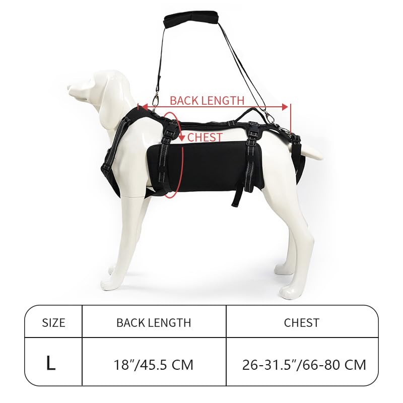 Dog Lift Harness (L / Black)