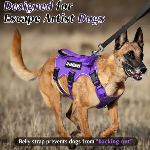 Escape Proof Dog Harness with Double Handle+4 Removable Patches (Medium / Purple)