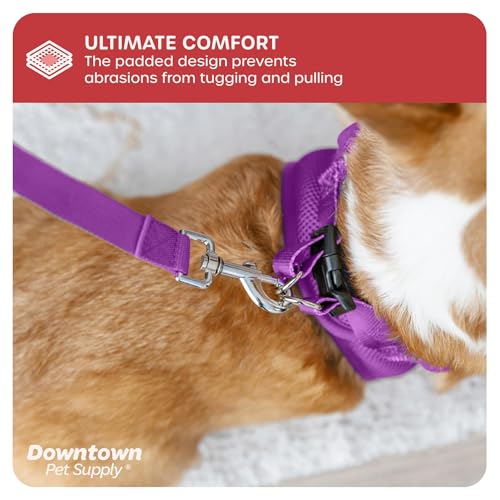 Step in Dog Harness (Small / Purple)