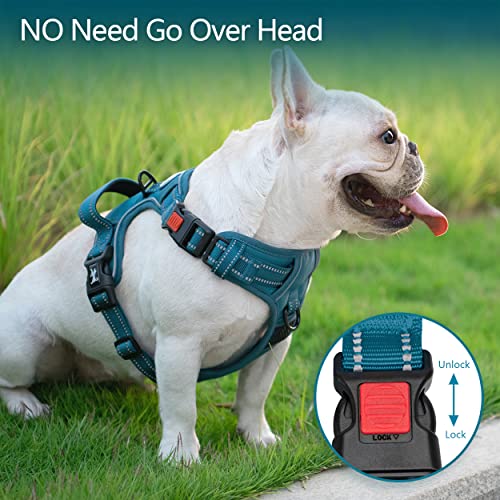 No Pull Dog Harness (Large / Tumalo Teal)