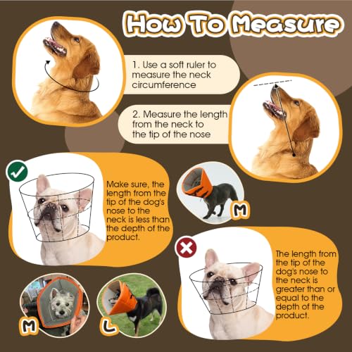 Adjustable Dog Cone for Spay (Orange / XL(Neck Girth:16.54"-21.65"))