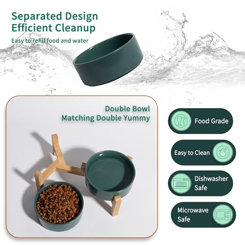 Elevated Ceramic Dog Bowl (Green / Small)