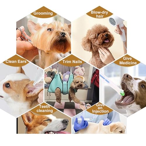 Dog Grooming Hammock (L / Light Blue)