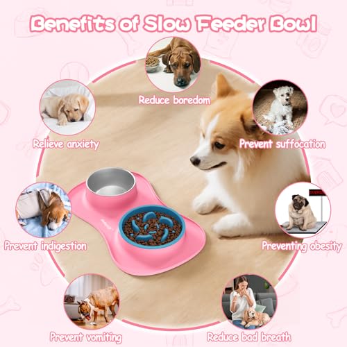 Dog Food and Water Bowl Set 3 in 1 (Large / Pink)