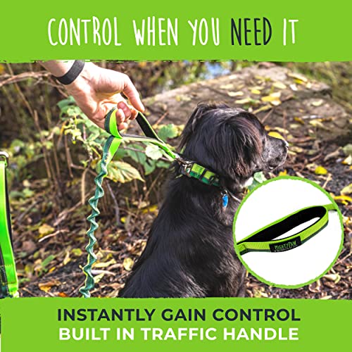 Hands Free Dog Leash (48" / Green)