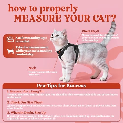 Cat Harness and Leash Set (Xxs / Black)