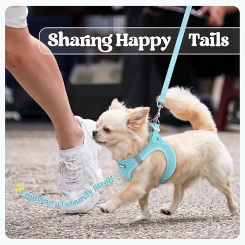 Dog Harness Small Sized and Leash Set (Mint Blue / Xs (chest: 13.3 - 15.5"))