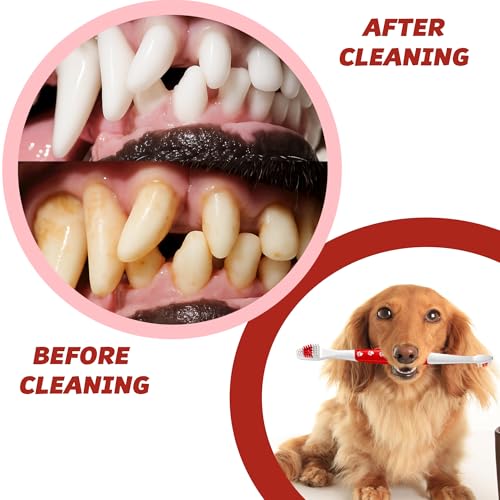 Pet Toothbrush for Dogs (Pack of 2(pink & Green))