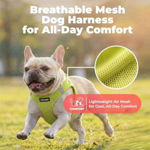 Voyager Step in Air Dog Vest Harness (Lime Green / XL (Chest: 20.5 - 23"))