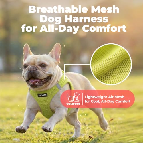 Voyager Step in Air Dog Vest Harness (Lime Green / S (Chest: 14.5 - 16"))