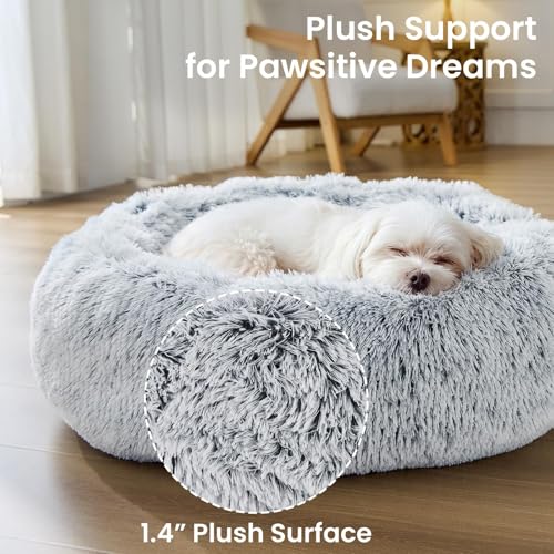 Small Dog Bed (01 - Smoke Grey / 20.0"L x 20.0"W x 6.0"Th)