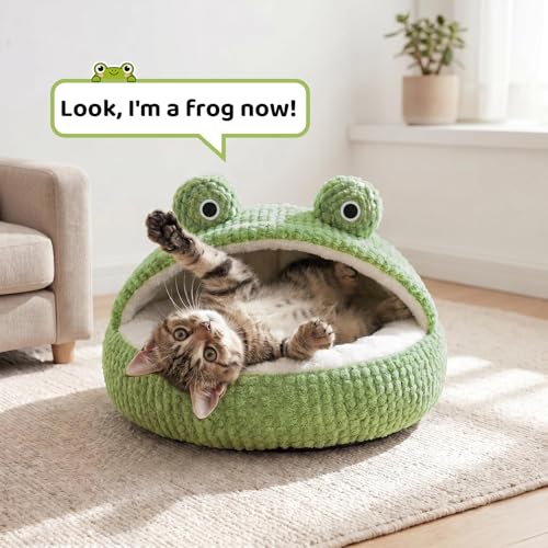 Cute Cat Beds Kitten Beds (Medium / White＆Green)
